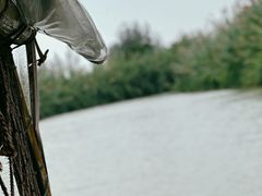 -泗洪洪泽湖湿地景区