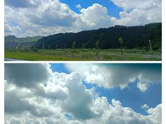 -天女山森林公园