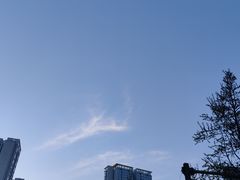 -王婆乔鲜鱼自助火锅(蜀汉路店)
