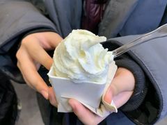 香草牛乳gelato-野人先生现做冰淇淋(北京环宇荟店)