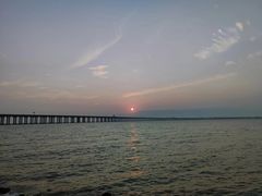 -宝安西湾红树林湿地公园