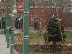 -东方巨龟苑景区