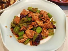 -鸢飞潍坊菜馆(鸢飞大酒店)