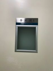 -八大处整形