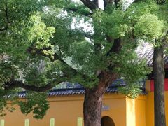 -西园戒幢律寺