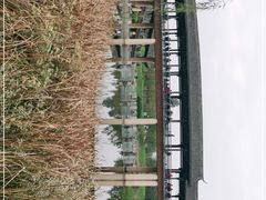 -眉山湿地公园(东坡区)