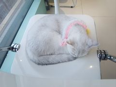 -怪兽屋·羊驼·猫咖·狗咖(俊华广场店)