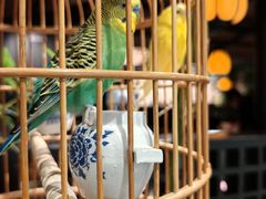 -淮扬府·游园京梦(北京SKP店)