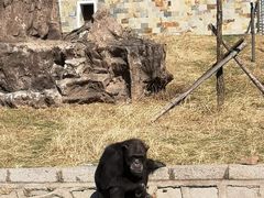 -哈尔滨北方森林动物园