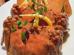 -寻宝记绍兴菜(笛扬楼店)