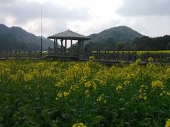 android_upload_pic-广州市石门国家森林公园