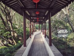 -上海醉白池公园