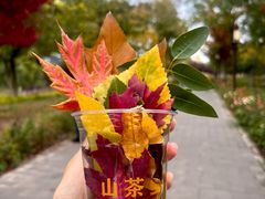 -西海子公园