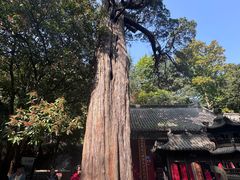 -青岛崂山太清宫