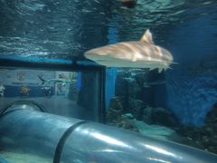 -福州罗源湾海洋世界旅游区