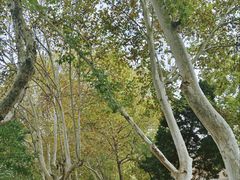 -西安电影制片厂