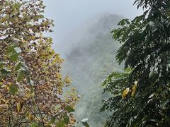 -青城山