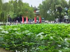 -四川大学(望江校区)