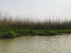 -长兴太湖图影湿地文化园