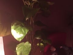 -北纬37°SPA养身会馆(湖西店)