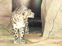 -青藏高原野生动物园
