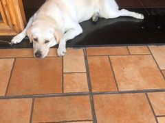 -朕悦鹧鸪饭私房菜