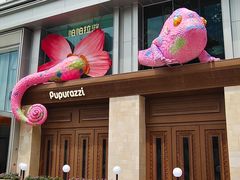 -帕帕拉兹宠物(亚洲旗舰店)