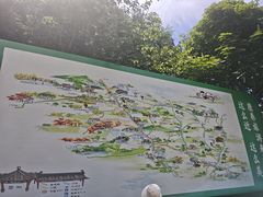 -牛背梁国家森林公园