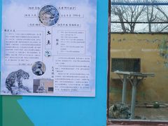 -青藏高原野生动物园