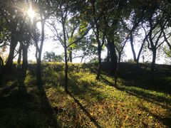-相门城墙文化休闲景区
