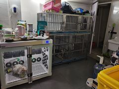 -喵汪萌宠屋旗舰店.洗澡美容.猫狗基地