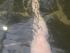 -龙达温泉生态城