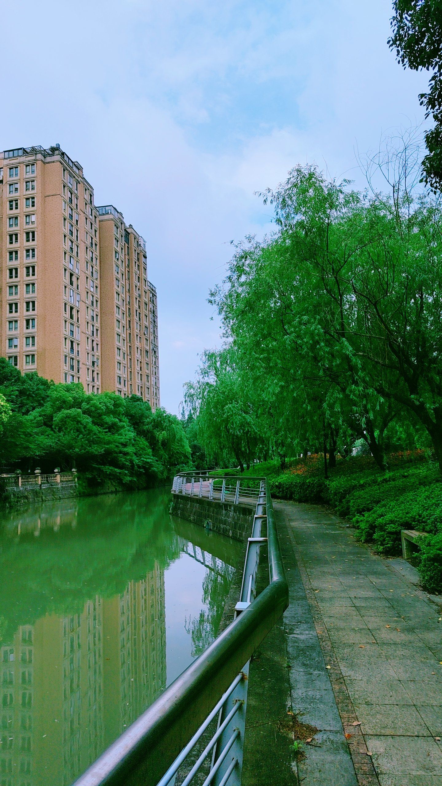 小河轻淌