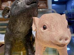 -WHEN PIGS FLY当猪飞
