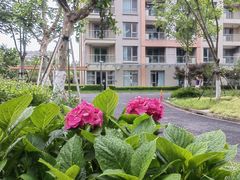 -梧桐人家中国太平国际健康颐养社区