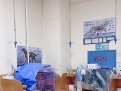 -瑞派宠物医院·24小时骨科·心脏·核磁(哈尔滨南岗店)