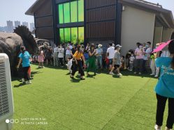 -恐龙探索乐园(磁器口店)