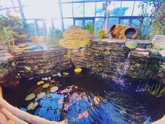 -国家植物园南园