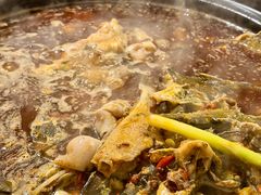 -金海椒罐罐鲢鱼(东方桂苑店)