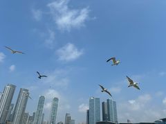-星海广场