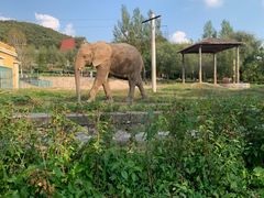 -哈尔滨北方森林动物园