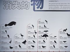 -中国湿地博物馆