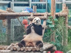 -大连森林动物园