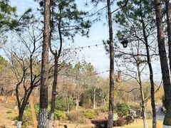 -茅山东方盐湖城景区