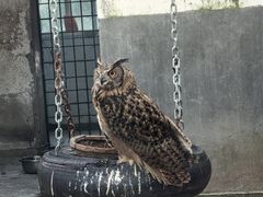 -青峰峡国家森林公园