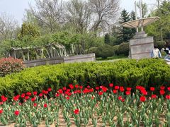 -石家庄市植物园