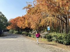 -上海海湾国家森林公园