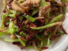 -东北四季饺子王(华山路店)