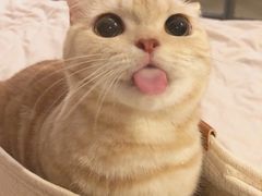 -慢隅法式小馆·生日求婚西餐厅