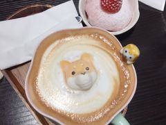 -逗柴咖啡屋·狗咖猫咖宠物桌游